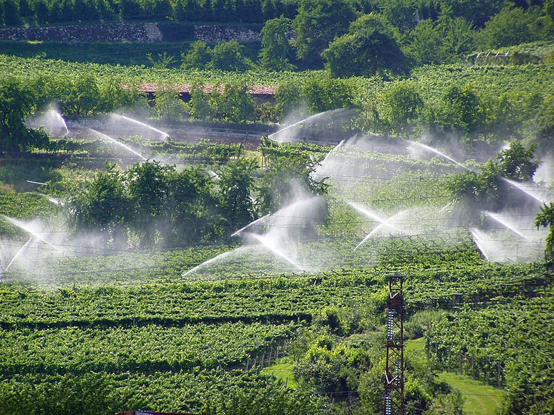 agricultura-energia-solar